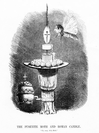The Puseyite Moth and the Roman Candle, illustration from 